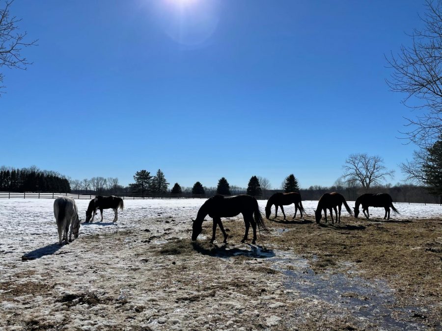 Photo by Alan Dursee, Class of 2022